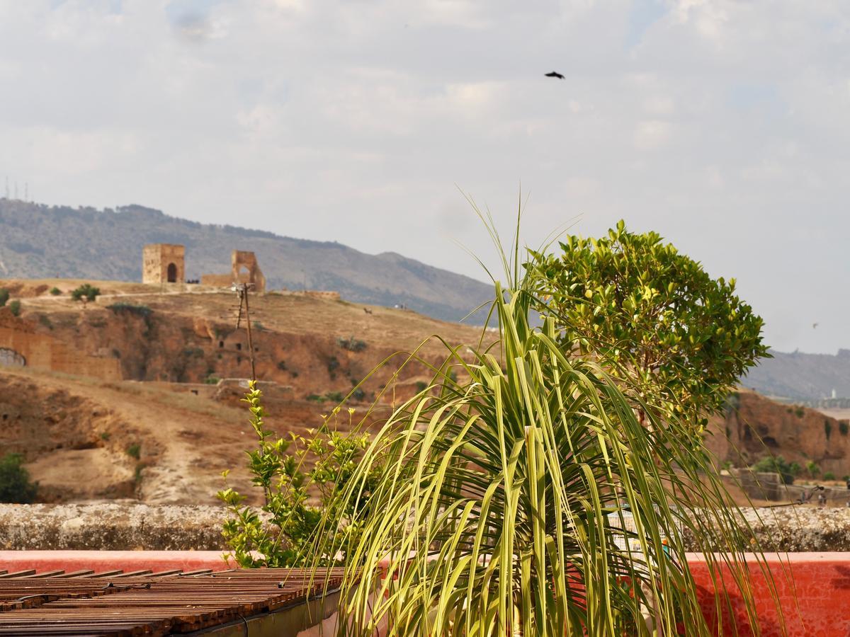 Riad Toyour- Riad Of Birds فاس المظهر الخارجي الصورة